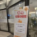 [위례 마사지] 더바디스 – 아베다 오일 향까지 좋았던 성남 마사지 후기