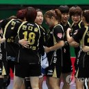 코리아타이거체육관 이미지