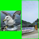 해안약국 맞은편 이미지