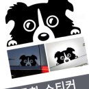 프리티도그 이미지