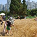 예정농장 이미지