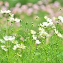 제성한의원 이미지