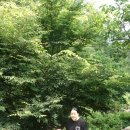 물한계곡 소나무펜션 이미지