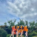 신촌2548 이미지