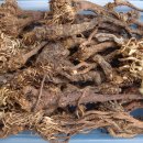 대한건재 이미지