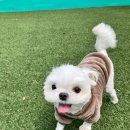 아이사랑유치원 이미지