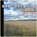 토론토↔️몬트리올 가는 법 VIA Rail 비아레일 예약 방법 및 후기