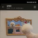 까르르멍멍 네이버블로그