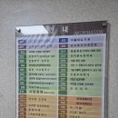 서현약품 | 서현역맛집 찐맛집 추천 양푼애등갈비 가격 정보 후기 맛 주차