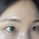 오르브로우