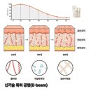 마레도로 항산화 비건 스킨케어 3종 사용후기