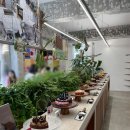 더샵(the SHOP) 이미지