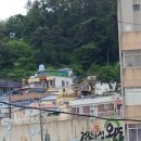 비파경로당 이미지