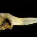 CW-0800-01 이미지