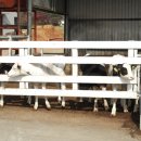 아띠목장 이미지