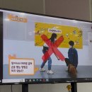 서울동물복지지원센터 동대문 동물병원 | 마포 유기견 첫산책 봉사 하고온 후기! - 서울 동물 복지 지원센터