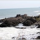 송학주유소 이미지