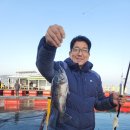 덕진호 좌대낚시터 이미지