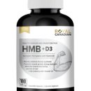 수방지영 이미지