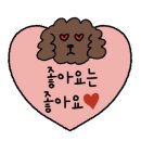 펀비어킹동탄 네이버블로그