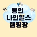 개쩐다뽑기 | 용인 나인힐스 캠핑장에서 어린이날 알차게 보내기(JJ2 자리 후기와 명당 추천)