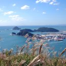 삼락강변공원 이미지