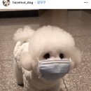 일상