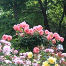 도당공원 이미지