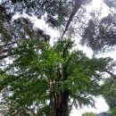 만수농장 | 디지털관광주민증 여행후기