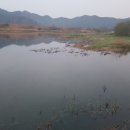 황룡강 주유소 이미지