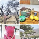 성주경찰서 공중화장실 | 경북 성주 가볼만한곳 봄 데이트 2월 겨울참외 등