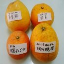 키요민
