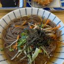 3552 | [창동역맛집] 모밀엔카츠 창동점 알밥엔모밀카츠 혼밥 후기 (내돈내산)