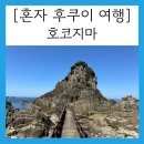 [혼자 후쿠이 여행] 호코지마에 가다