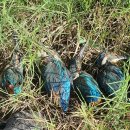 레몬숲어린이집 이미지