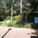 동서대로사거리 이미지