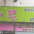 미장원 Daum카페