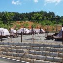 서천금빛노을서울캠핑장 이미지