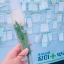 장미약국 이미지