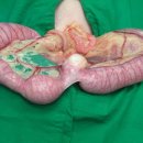 고득영동물병원 이미지