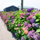 안성리-6 이미지