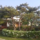 힐링솔가 이미지