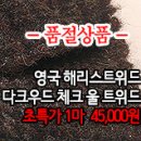 [mw41102-6164]영국 해**트위드 다크우드 체크 울 트위드 이미지