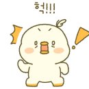 뚱이애견 이미지