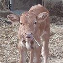 두마농장 이미지