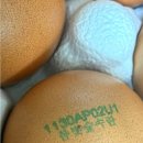 봄빛농장 이미지