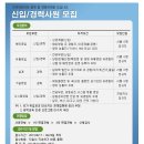 캐리어 채용 / 2013년 하반기 각 부문 신입/경력사원 채용 (~06/23) 이미지