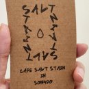 솔트스테인(Saltstain) 이미지