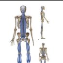 대로 GYM 이미지