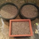 모메조은거 이미지